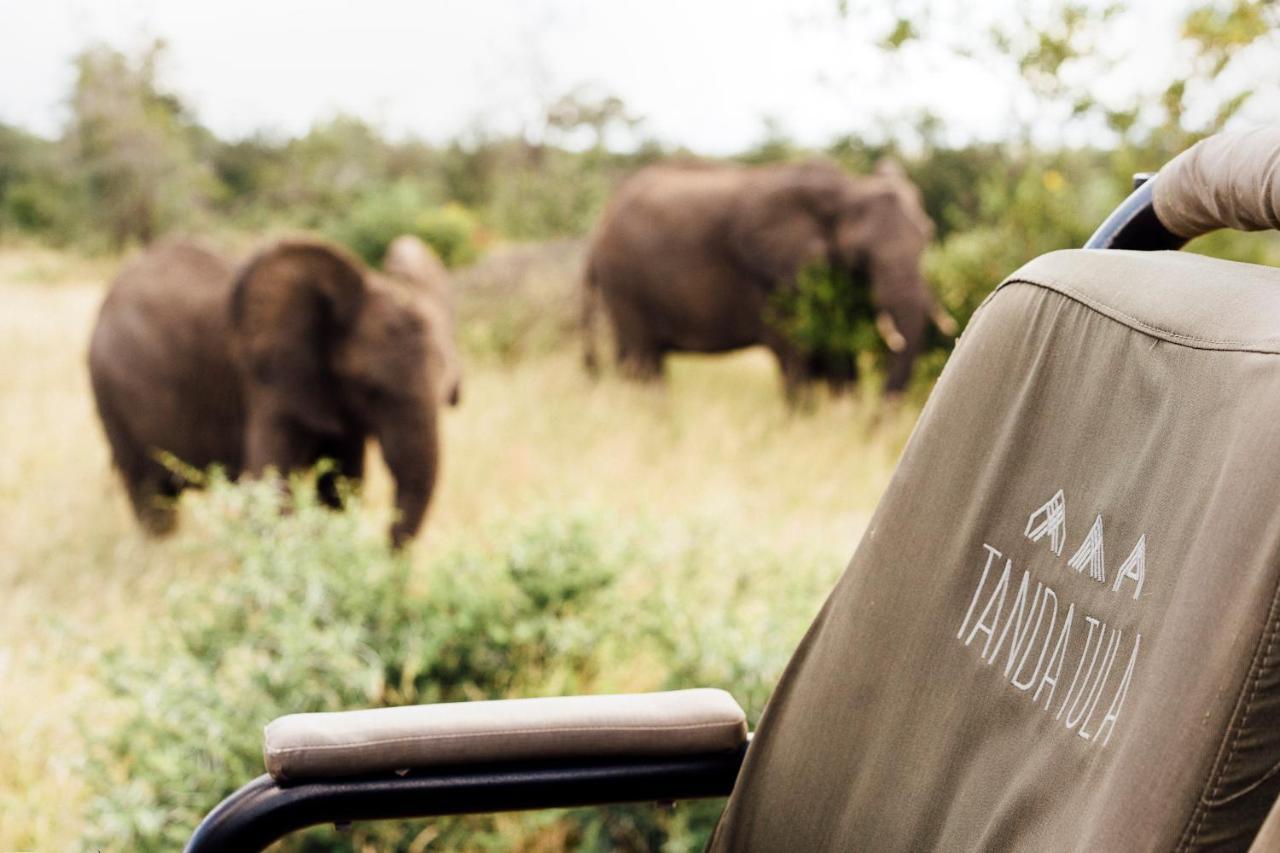 Tanda Tula Safari Camp Villa Timbavati Game Reserve Exterior photo